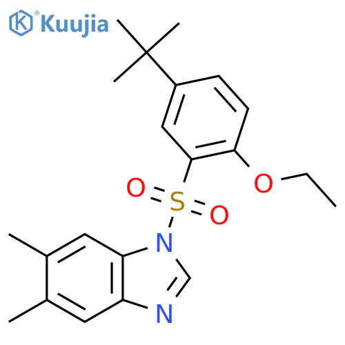 1-(5-tert-butyl-2-ethoxybenzenesulfonyl)-5,6-dimethyl-1H-1,3-benzodiazole structure