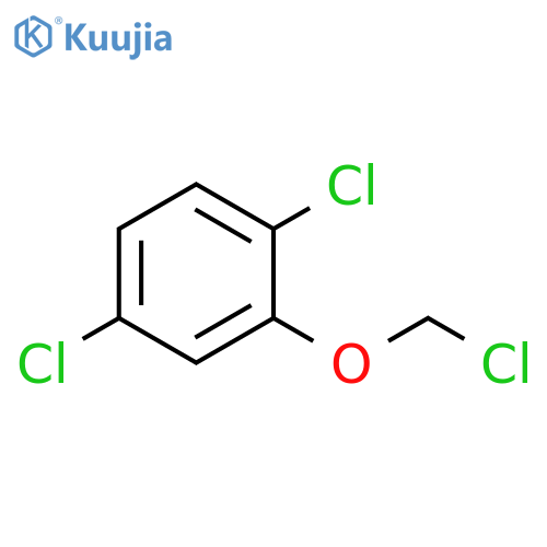 Benzene, 1,4-dichloro-2-(chloromethoxy)- structure