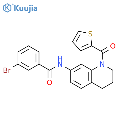3-bromo-N-1-(thiophene-2-carbonyl)-1,2,3,4-tetrahydroquinolin-7-ylbenzamide structure