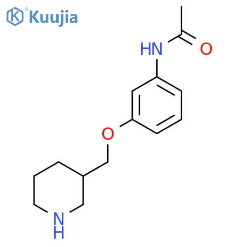 N-[3-(3-Piperidinylmethoxy)phenyl]acetamide structure