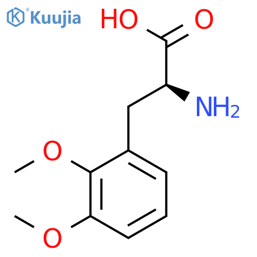 2-amino-3-(2,3-dimethoxyphenyl)propanoic acid structure